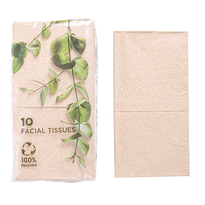 10 U X 10 U. MOUCHOIRS 3 PLIS FEEL GREEN 21x21 CM NATUREL KRAFT (1 UNITÉS) - REF. 251.09 - Image 3