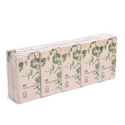 10 U X 10 U. MOUCHOIRS 3 PLIS FEEL GREEN 21x21 CM NATUREL KRAFT (1 UNITÉS) - REF. 251.09 - Image 5
