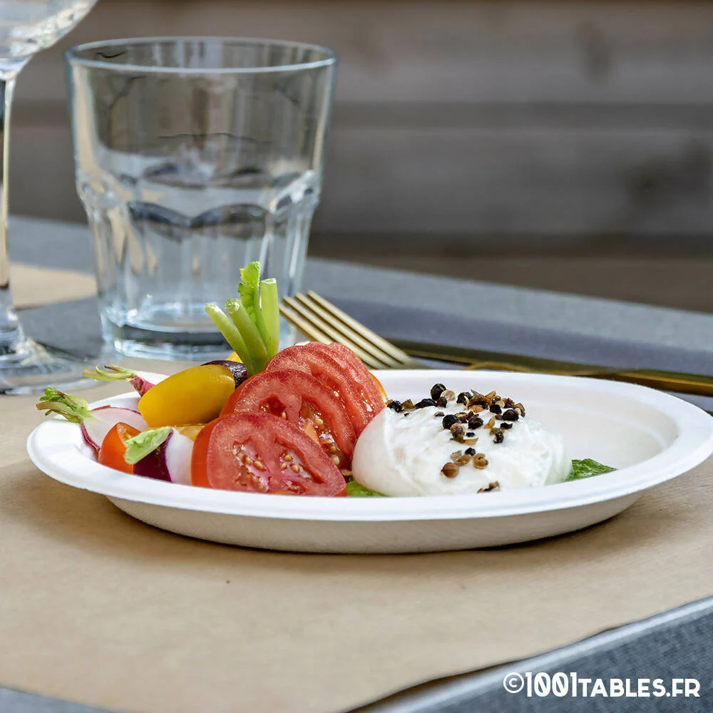 Assiette Canne à Sucre Ronde Ø18cm (500 UNITES) - Image 2