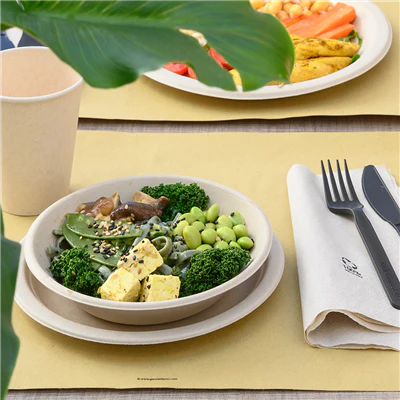 ASSIETTES CREUSES BIONIC 680 ML Ø 19x4 CM NATUREL BAGASSE (1000 UNITÉS) - REF. 212.76 - Image 4
