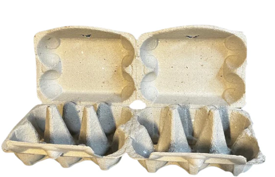 Boîtes 6 œufs en cellulose moulée 2x6 NestPack - Image 4