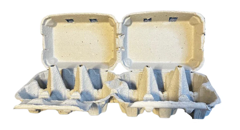 Boîtes 6 œufs en cellulose moulée 2x6 TOP - Image 2