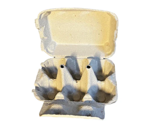 Boîtes 6 œufs en cellulose moulée 2x6 TOP - Image 5