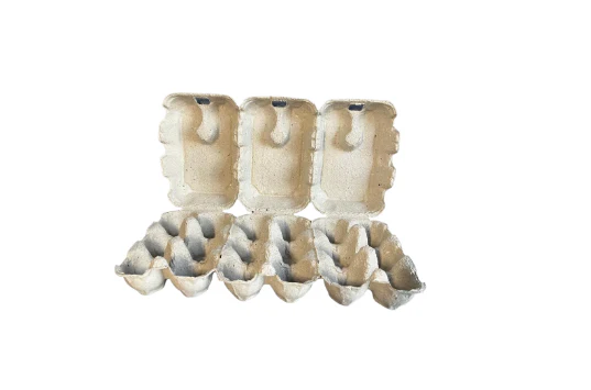 Boîtes 6 œufs en cellulose moulée 3x6 Pick&Pack M/L - Image 3