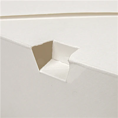 BOÎTES AMÉRICAINES THEPACK 1980 ML 19,6x14x6,2 CM BLANC CARTON NANO-MICRO + PP (200 UNITÉS) - REF. 234.62 - Image 6