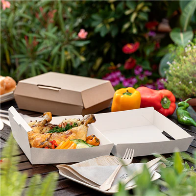 BOÎTES "LARGE LUNCH BOX" THEPACK 23,5x24x8,7 CM BLANC CARTON NANO-MICRO (150 UNITÉS) - REF. 234.35 - Image 6