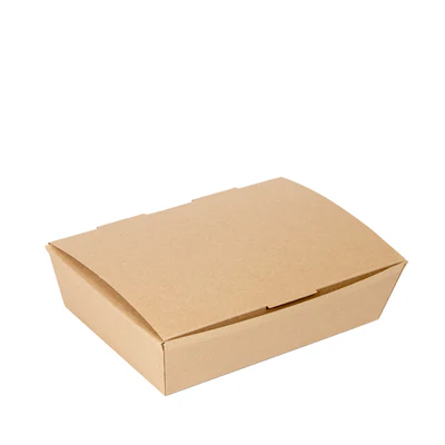 BOÎTES "LUNCH BOX" COUVERCLES THEPACK 1500 ML (48 oz) 21x18x5,5 CM NATUREL CARTON NANO-MICRO (360 UNITÉS) - REF. 235.18