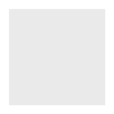 FEUILLES PARCHEMIN INGRAISSABLE 32 G/M2 41x41 CM BLANC PARCH.INGRAISSABLE (500 UNITÉS) - REF. 233.50