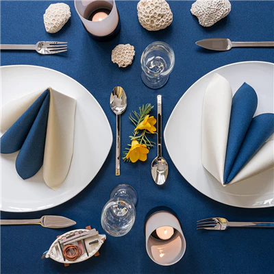 NAPPE EN ROULEAU 55 G/M2 1,20x50 M BLEU MARINE AIRLAID (1 UNITÉS) - REF. 167.54 - Image 3