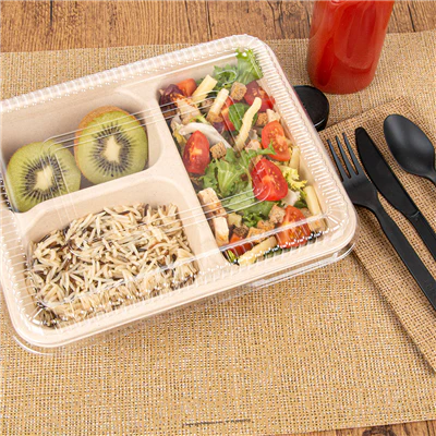 PLATEAUX 3 COMPART + COUVERCLE PET BIONIC 950 ML 22x18x5,5+1,3 CM NATUREL BAGASSE (100 UNITÉS) - REF. 228.73 - Image 5