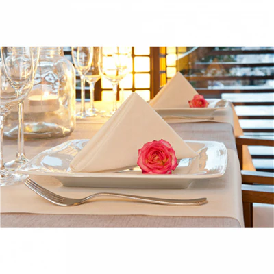 SERVIETTES 2 FACES LIKE LINEN 70 G/M2 40x40 CM CREME SPUNLACE (600 UNITÉS) - REF. 213.59 - Image 2