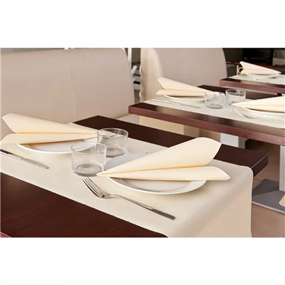 SERVIETTES 55 G/M2 45x45 CM IVOIRE AIRLAID (700 UNITÉS) - REF. 181.88 - Image 2