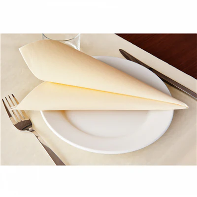 SERVIETTES 55 G/M2 45x45 CM IVOIRE AIRLAID (700 UNITÉS) - REF. 181.88 - Image 4