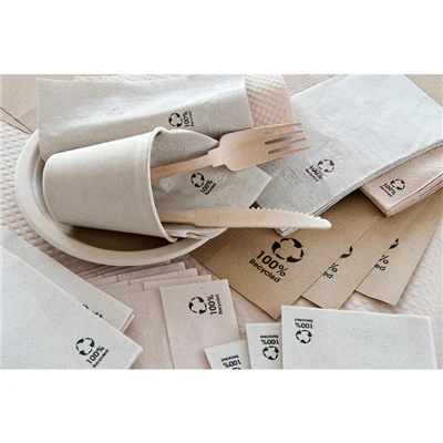 SERVIETTES ECOLABEL 1 PLI FEEL GREEN 23 G/M2 33x33 CM NATUREL OUATE RECYCLÉE (3000 UNITÉS) - REF. 102.80 - Image 2