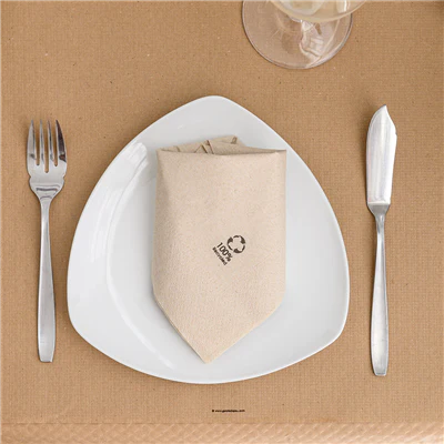 SERVIETTES ECOLABEL 2 PLIS FEEL GREEN 18 G/M2 30x30 CM NATUREL OUATE RECYCLÉE (2400 UNITÉS) - REF. 232.05 - Image 2