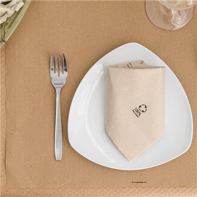 SERVIETTES ECOLABEL 2 PLIS FEEL GREEN 18 G/M2 33x33 CM NATUREL OUATE RECYCLÉE (2400 UNITÉS) - REF. 102.67 - Image 3