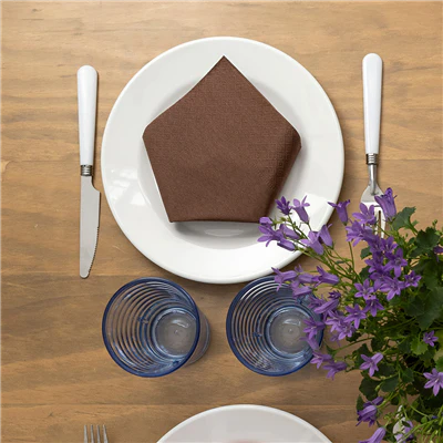 SERVIETTES ECOLABEL 2 PLIS 18 G/M2 39x39 CM CHOCOLAT OUATE (1600 UNITÉS) - REF. 152.58 - Image 2