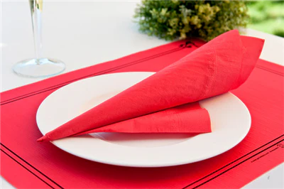 SERVIETTES ECOLABEL 2 PLIS 18 G/M2 39x39 CM ROUGE OUATE (1600 UNITÉS) - REF. 103.45 - Image 3