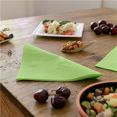 SERVIETTES ECOLABEL 2 PLIS 18 G/M2 39x39 CM VERT ANIS OUATE (1600 UNITÉS) - REF. 152.57 - Image 2