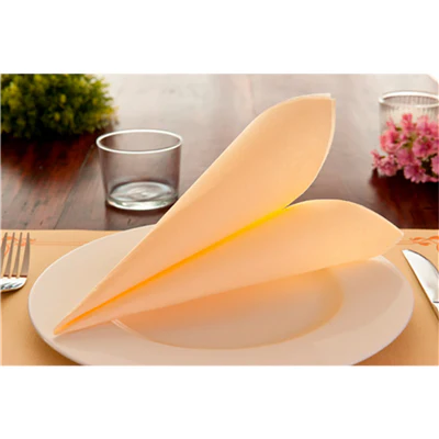 SERVIETTES ECOLABEL DOUBLE POINT 18 G/M2 39x39 CM IVOIRE OUATE (1200 UNITÉS) - REF. 166.65 - Image 2