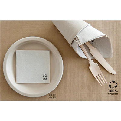 SERVIETTES ECOLABEL DOUBLE POINT 19 G/M2 20x20 CM NATUREL OUATE RECYCLÉE (2400 UNITÉS) - REF. 191.09 - Image 3