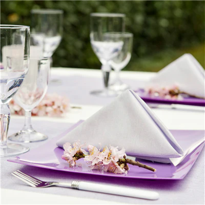SERVIETTES LIKE LINEN 70 G/M2 40x40 CM PARME SPUNLACE (600 UNITÉS) - REF. 179.39 - Image 2