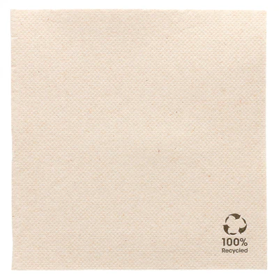SERVIETTES RECYCLÉES ECOLABEL DOUBLE POINT 19 G/M2 25x25 CM NATUREL OUATE RECYCLÉE (3000 UNITÉS) - REF. 214.06